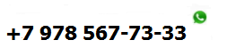 +7 978 57-73-33